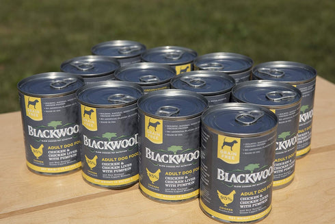 Blackwood Pet Food Grain Free Wet Dog Food, Chicken & Chicken Liver with Pumpkin, 13 oz Can, Pack of 12