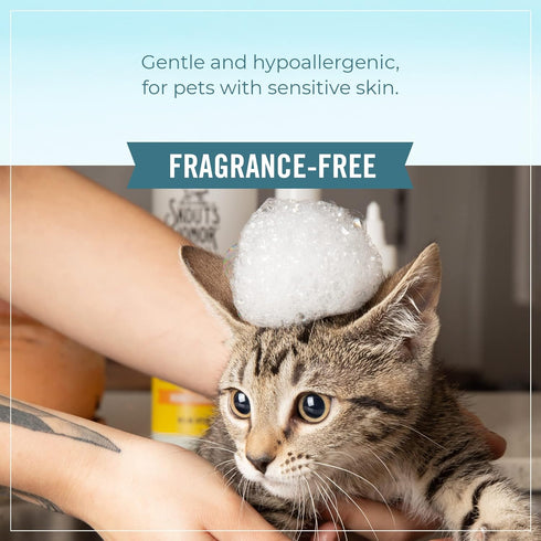 SKOUT'S HONOR Cat Probiotic Shampoo + Conditioner for Healthier Skin and Coat, Fragrance-Free, 16 oz