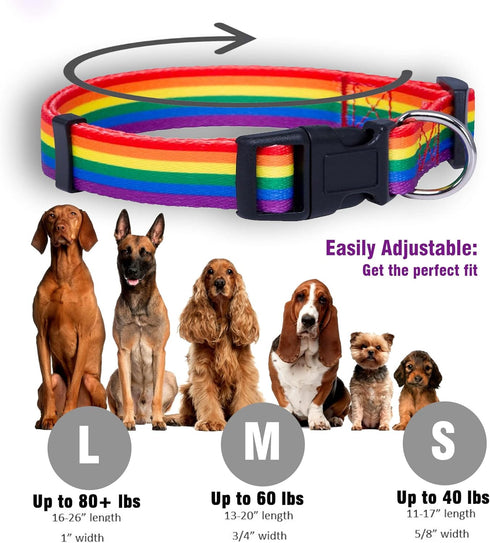 Native Pup Rainbow Flag Dog Collar, Medium, LGBTQ Flags Equality Pet Apparel Decor Gift