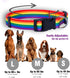 Native Pup Rainbow Flag Dog Collar, Medium, LGBTQ Flags Equality Pet Apparel Decor Gift