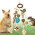 Rabbit Toys for Bunny Boredom, Hanging Rodent Dental Toy with Papaya Stems
