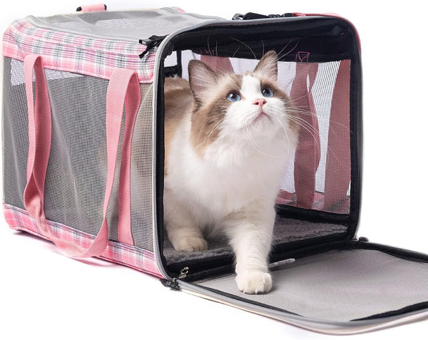 EXPAWLORER Cat Carrier Large, Soft-Sided Top Load Travel Carrier for Medium Cats Under 25, Airline Approved