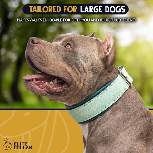 Leather Dog Collar, Large Padded Heavy Duty Collar with Dog Tag Holder, Green (Large, 2 inches wide soft padding)