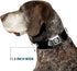 Dog Collar Seatbelt Buckle Winchester Pentagram Repeat Black White 1.0 Inch Wide, 15 to 26 Inches, DC-WSN005-L