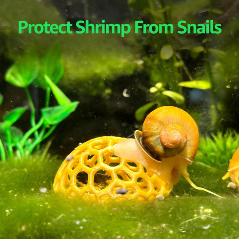 Aquarium Shrimp Dome Shelter - Honey Gold Cherry Shrimp Hide