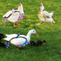 3 Pieces Chicken Diapers for Hens Pet Duck Diapers Reusable Chicken Diapers Chicken Clothes Accessories with Bow Tie