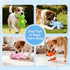 5 Pack Prime Pets Plush Squeaky Dog Toys, No Stuffing Bodies, Crinkle Pet Toys for Small Medium Large Dogs, Puppy Chew