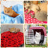 12 Pieces Fleece Blankets for Pets, Dog Puppy Blankets, Paw Print Dogs Cat Blanket Bedding Cover for Small Animals, 18