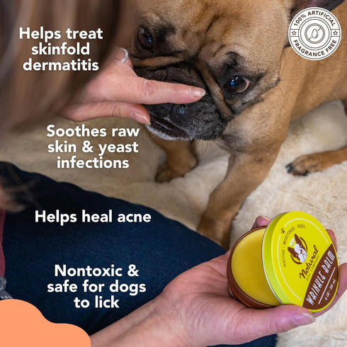 Natural Dog Company Wrinkle Balm, 1 oz. Tin, Dog Lotion for Dry Itchy Skin, Cleans Wrinkles, Made in USA