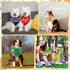 100 Sweetude Pcs Plaid Dog Bandanas Bulk Paw Print Dog Scarf Bibs Puppy Pet Bandanas with Captions Adjustable Cat