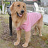 lovelonglong Basic Dog Polo Shirts – Premium Cotton T-Shirts for Large Medium Small Dogs, Pink XS, Two-Button Collar