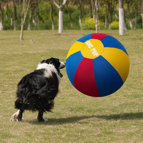25" ANC POP Herding Ball for Dogs Horse & Cover Ball for Horses Large with Hand Pump for Play Horse Toys for Horses