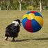 25" ANC POP Herding Ball for Dogs Horse & Cover Ball for Horses Large with Hand Pump for Play Horse Toys for Horses