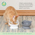 Kitty City Raised Cat Food Bowl Collection/Stress Free Pet Feeder and Waterer and Slow Feed Bowls
