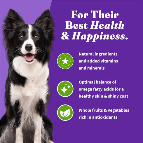 Halo Holistic Adult Dog Vegan Plant-Based Recipe with Superfoods, 3.5 lb Bag