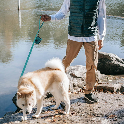 Waterproof Dog Leash Carabiner - Soft Handle Easy Care 6ft*25mm*2.5mm, Viridian Green