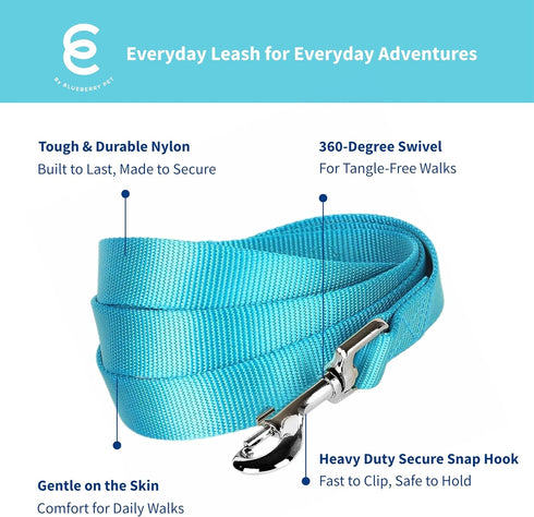 Turquoise Dog Leash for Medium - Blueberry Pet Essentials - 5' * 3/4" Dogs | Heavy Duty Nylon Lead | Lightweight Puppy