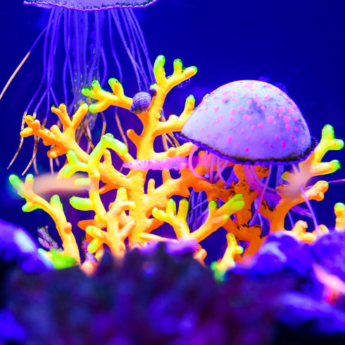 VOCOSTE Soft Silicone Glowing Aquarium Mushroom Coral, Fluorescence Aquatic Artificial Coral for Fish Tank Decoration