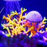VOCOSTE Soft Silicone Glowing Aquarium Coral with Sucker, Fluorescent Artificial Water Plants, Orange