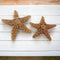 Sugar Starfish, 4" - 6" Large Starfish | Aquarium Decor, Fish Tank Decor, Real Starfish 2 Pack