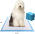 Four Paws Wee-Wee Superior Performance Gigantic Pee Pads for Extra Large Dogs, Leak-Proof Quilted Potty Training Pads