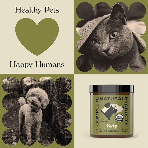 Complete Natural Products Organic Kelp Powder - 4oz - Pure Organic Kelp Powder for Pets