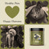 Complete Natural Products Organic Kelp Powder - 4oz - Pure Organic Kelp Powder for Pets