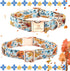 Lionheart Glory Premium Fall Dog Collar, Heavy Duty Adjustable Maple Leaf Design for Small Dogs