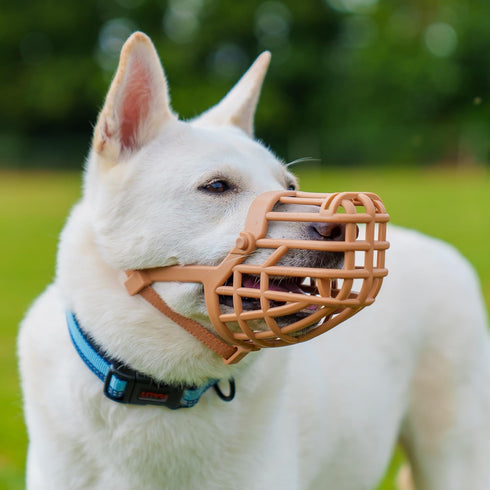 BASKERVILLE CLASSIC BASKET MUZZLE - Dog can Pant and Drink, Prevents Biting and Food Waste Scavenging, Strong TPR, Ideal for Longer Nosed Dogs, Breathable Dog Training Muzzle for Medium Dogs (Size 5)