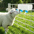 3 3 L/101.45oz Threlaco Pacifier Small Animal Milk Feeder Puppy Lamp Goat Milk Feeder Farm Water Bottle Dispenser