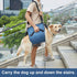 Dog Carry Sling, Emergency Backpack for Senior Dogs, Rehabilitation Lift Harness for Joint Injuries (L, Blue)