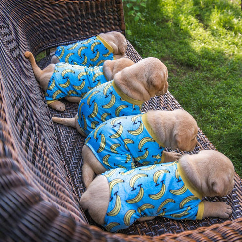 CuteBone Soft & Stretchy Dog Pajamas - Cozy Breathable Jumpsuit for Small Dogs - All-Season Easy-On Pullover Design