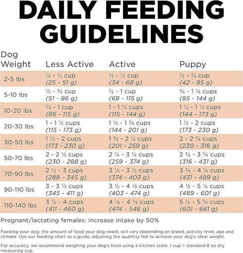 Go! Solutions Skin + Coat Care - Dry Dog Food - 12 lb - Salmon Recipe with Grains for All Life Stages