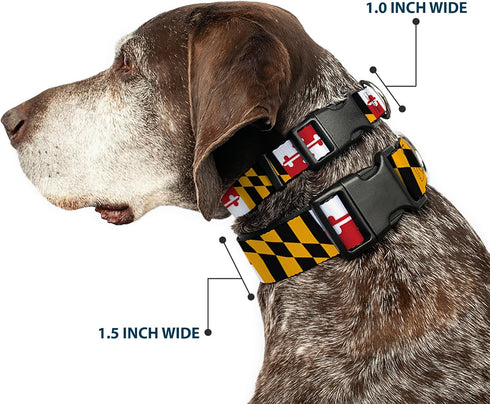 Buckle-Down 6-9" Maryland Flags Plastic Clip Collar, Narrow Small