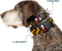 Buckle-Down 6-9" Maryland Flags Plastic Clip Collar, Narrow Small
