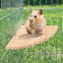 Trinkrittey 6.7 Inches Bird Perch Platform Stand Wooden Parrot Perch Corner Fan Shape Playground Cage Accessories