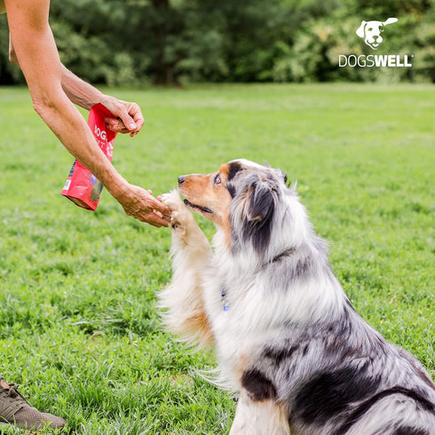 Dogswell Immunity & Defense, 20 oz - Duck Jerky with Flaxseed Oil, Turmeric, Vitamin E & A for Healthy Aging