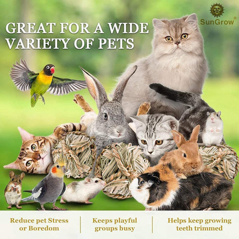 SunGrow Seagrass Balls for Rabbit, Chewable Teething Activity Toy for Gerbils, Guinea Pig, Dwarf Bunny (3 Pieces/Pack)