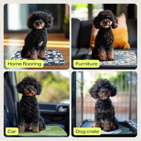 PetSpy Washable Pee Pads for Dogs, Waterproof Reusable Puppy Pads, No-Slip Surface for Potty Training