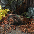 Aquarium Wood Fish Tank Decorations, Resin Fake Logs for Reptile Hide and Fish Cave, Suitable for 20 Gallon Tank