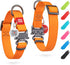 WAUDOG Waterproof Dog Collar - Heavy Duty Adjustable Collar for Large, Medium, Small Dogs - Durable Metal Clasp & QR