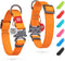 WAUDOG Waterproof Adjustable Dog Collar for Large, Small and Medium Dogs - Heavy Duty with Metal Clasp