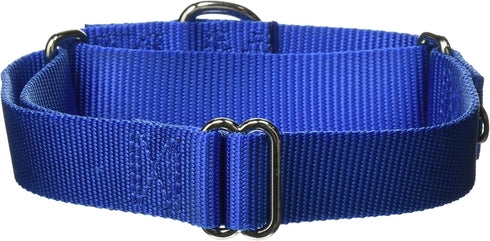 PetSafe Adjustable Martingale Collar, Prevents Slipping Out, Only Tightens When Dogs Pull, 1", Medium, Royal Blue