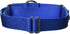 PetSafe Adjustable Martingale Collar, Prevents Slipping Out, Only Tightens When Dogs Pull, 1", Medium, Royal Blue