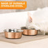 Neater Pet Brands Hammered Decorative Designer Bowls - Luxury Style Premium Dog and Cat Dishes (Large, Copper)