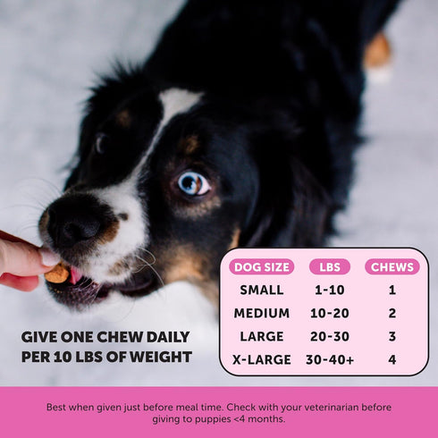 Pet Honesty Multivitamin Puppy Treats - Essential Dog Supplements for Learning, Cognitive Development, Immune Health
