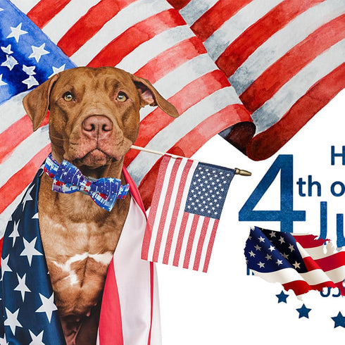 Elegant little tail Independence Day Dog Collar, Holiday Pet Collar with Bow, Adjustable for Small Dogs