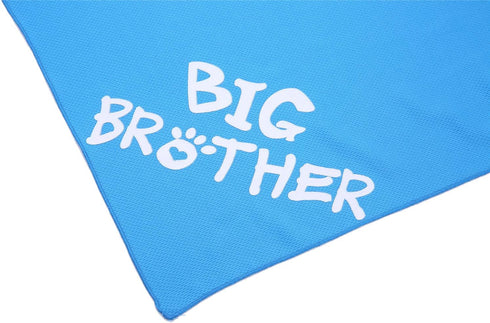 Big Brother Big Sister Dog Bandana - 2 Pack