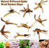 Hamiledyi 4 Pcs Driftwood for Aquarium, Natural Spider Wood Fish Tank Log Ornament