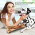 Cahnvob 8'' (1 Count) Real Beef Bones for Dogs with Meat - Big Dog Bones Beef Shank Bone, Rawhide-Free Long-Lasting